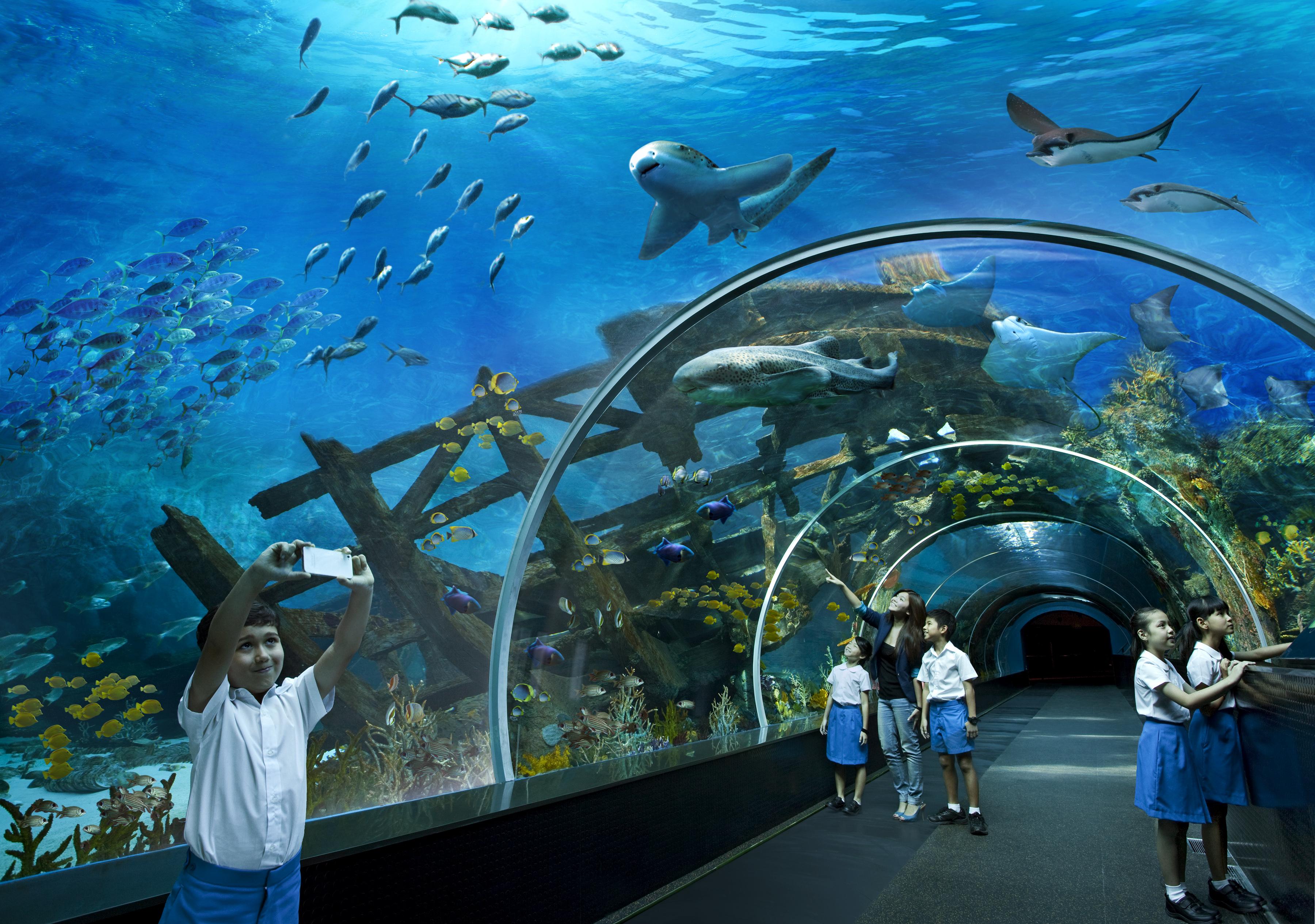 Resorts World Sentosa - Crockfords Tower Σιγκαπούρη Εξωτερικό φωτογραφία